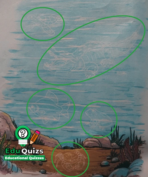 Let us Do - Five of us are hiding in the picture. Can you find NCERT Class 5 English The Frog Poem Solutions